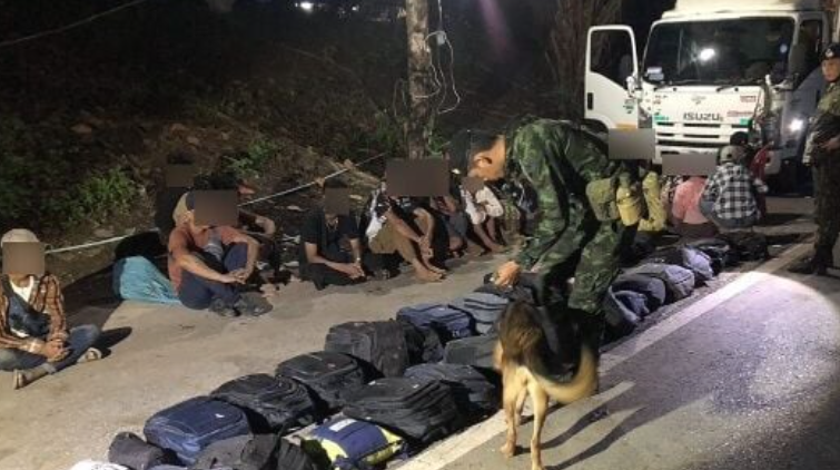 Thailand Tangkap Pasutri Selundupkan 32 Imigran Myanmar dengan Truk